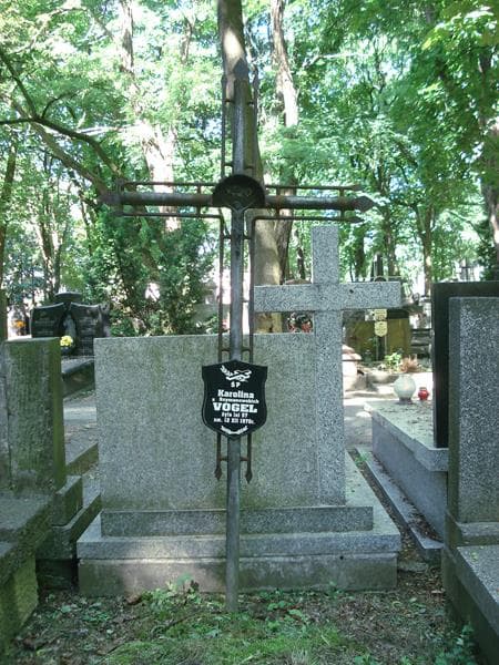 Zdjęcie grobu Karolina Vogel (1)