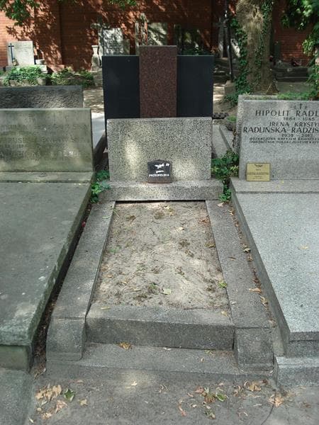Zdjęcie grobu: Zofia Przedpełska