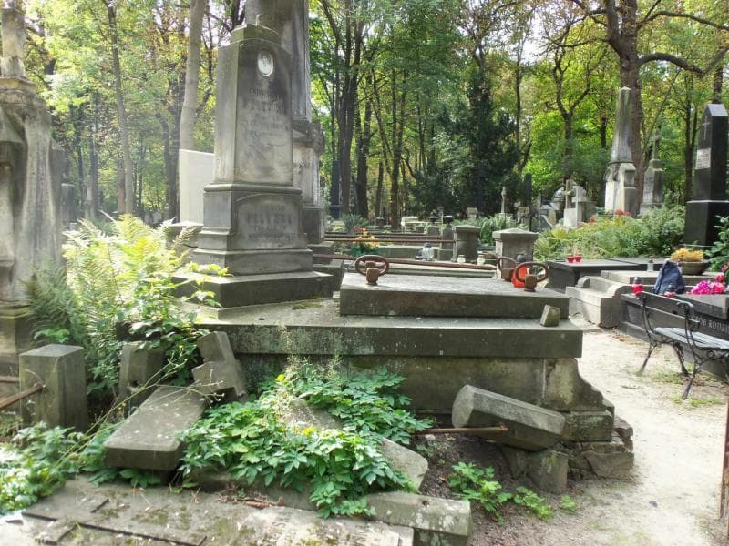Zdjęcie grobu Henryk Selenke (1)