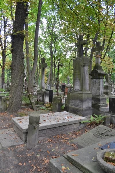 Zdjęcie grobu: Ludwik Bujalski