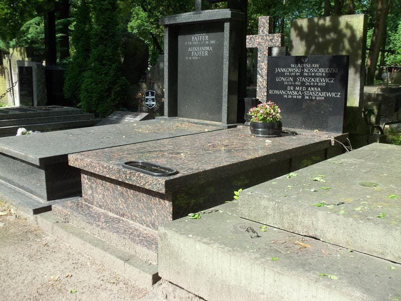 Zdjęcie grobu Władysław Jankowski-Kossobudzki (1)