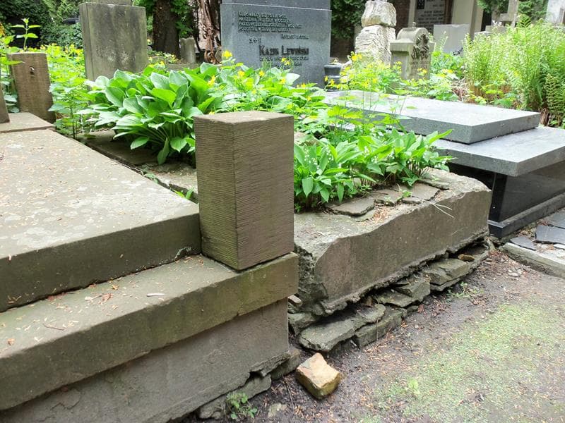 Zdjęcie grobu Wiktor Krzywicki (1)