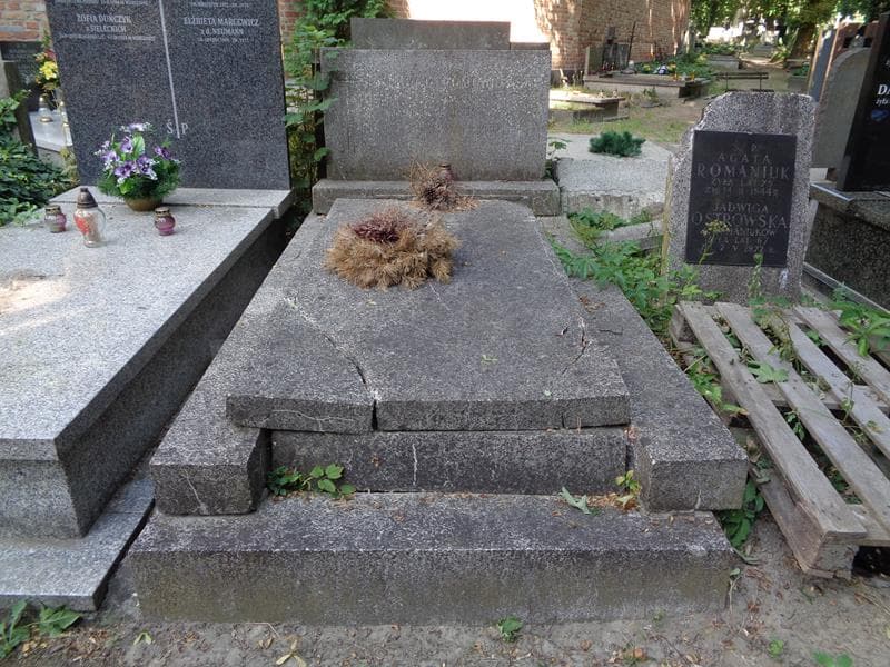 Zdjęcie grobu Rajmund Pomianowski (1)