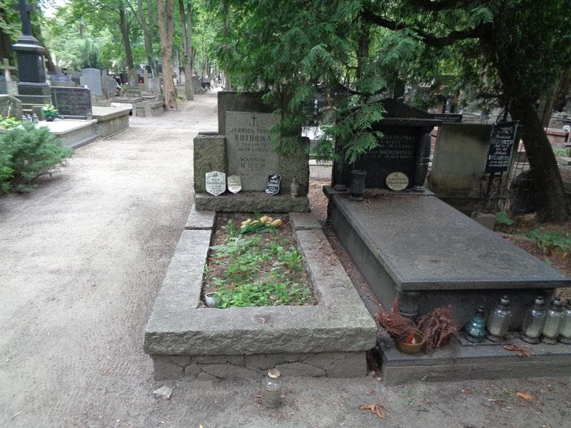 Zdjęcie grobu Jadwiga Teresa Rothowa (1)