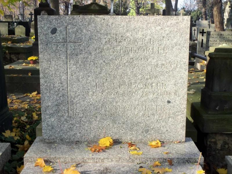 Zdjęcie grobu Edward Passendorfer (2)