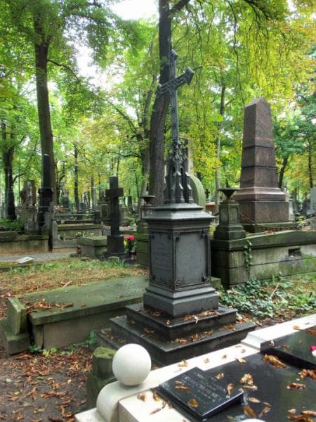 Zdjęcie grobu Dyonizy Strzeszewski (1)