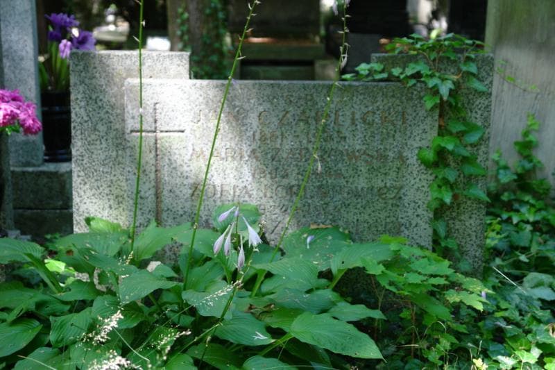 Zdjęcie grobu Jan Czaplicki (2)