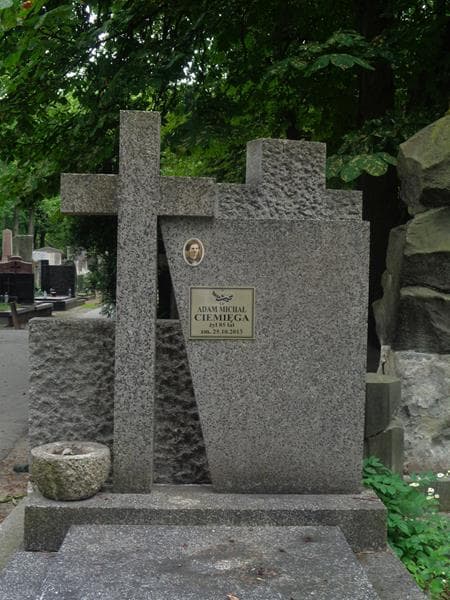 Zdjęcie grobu Adam Michał Ciemięga (2)