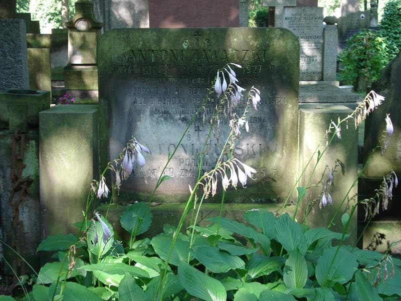 Zdjęcie grobu Antoni Zawadzki (2)