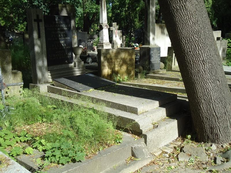 Zdjęcie grobu Jerzy Pelasa (1)