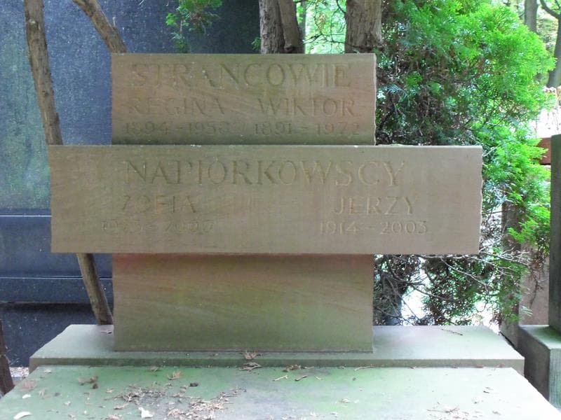 Zdjęcie grobu Regina Stranc (2)