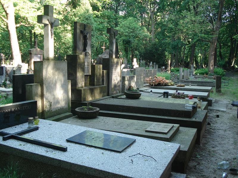 Zdjęcie grobu: Roman Michał Wall