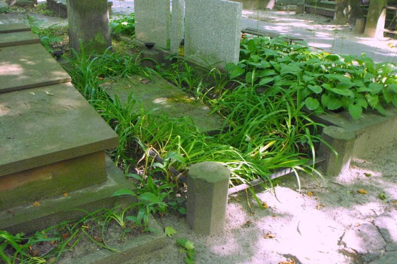 Zdjęcie grobu Marya Pawlikowska (1)