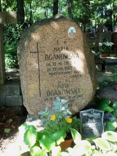 Zdjęcie grobu Maria Organowska (2)