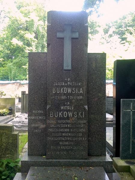 Zdjęcie grobu Józefa Bukowska (2)