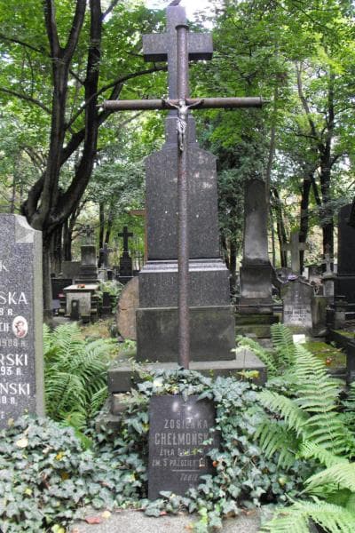 Zdjęcie grobu Zosieńka Chełmońska (2)