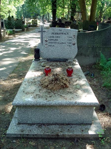 Zdjęcie grobu: Edward Perkowski