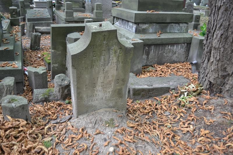 Zdjęcie grobu Sylwester Szesz (1)