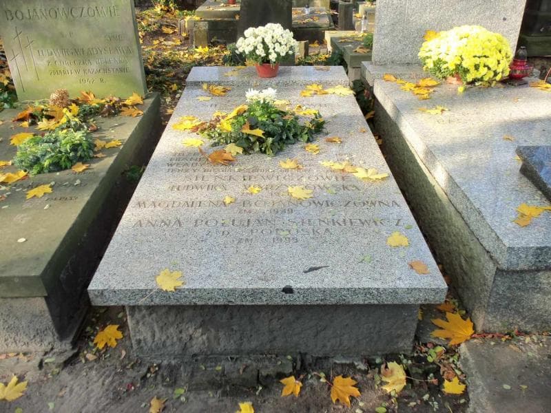 Zdjęcie grobu: Ludwika Wyrzykowska