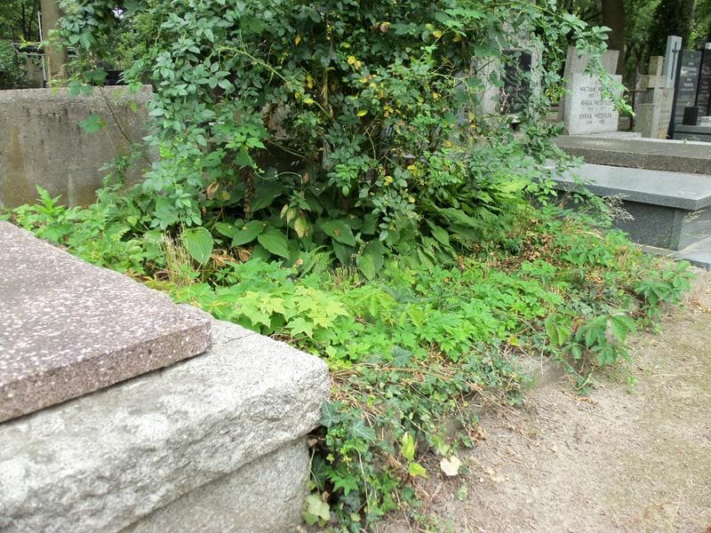 Zdjęcie grobu Maria Tołwińska (1)
