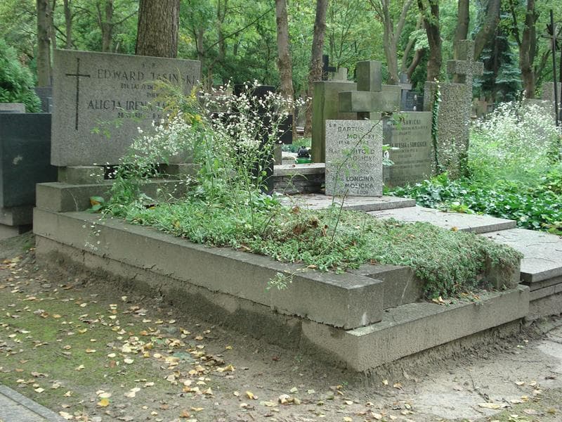 Zdjęcie grobu Alicja Irena Jasińska (1)