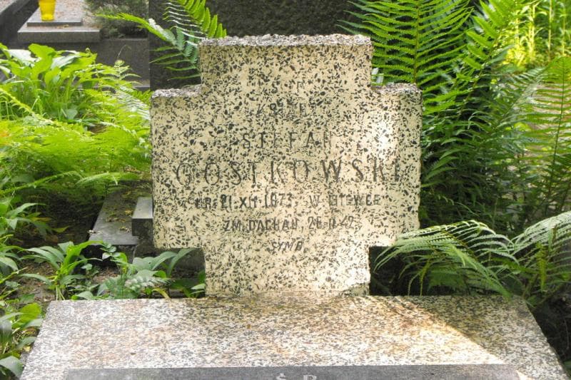 Zdjęcie grobu Wincenty Gostkowski (2)