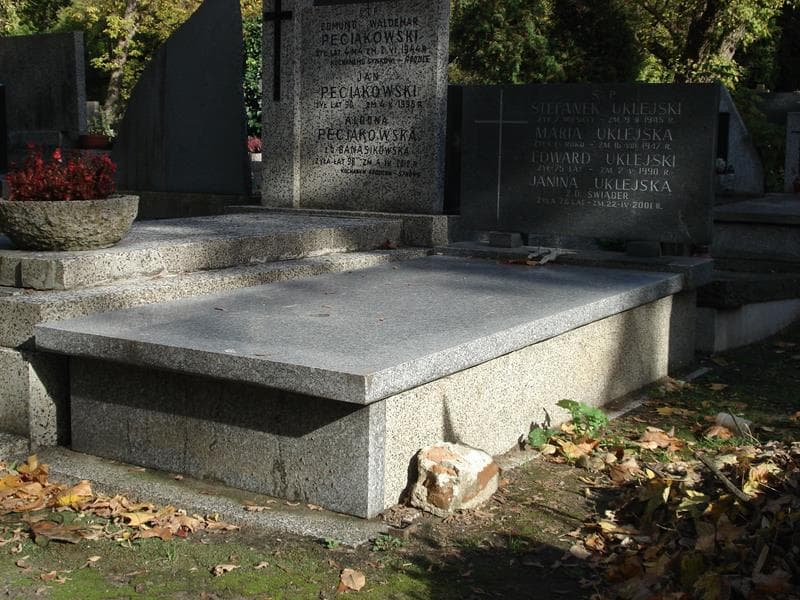 Zdjęcie grobu Stefanek Uklejski (1)