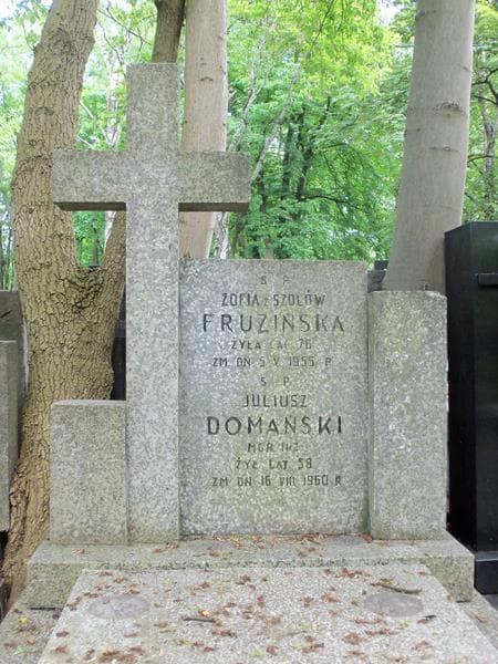 Zdjęcie grobu Wanda Domańska (2)