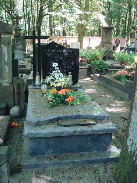 Zdjęcie grobu: Ksenia Aleksandrowicz