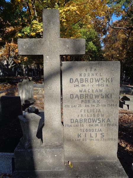 Zdjęcie grobu Wacław Dąbrowski (2)
