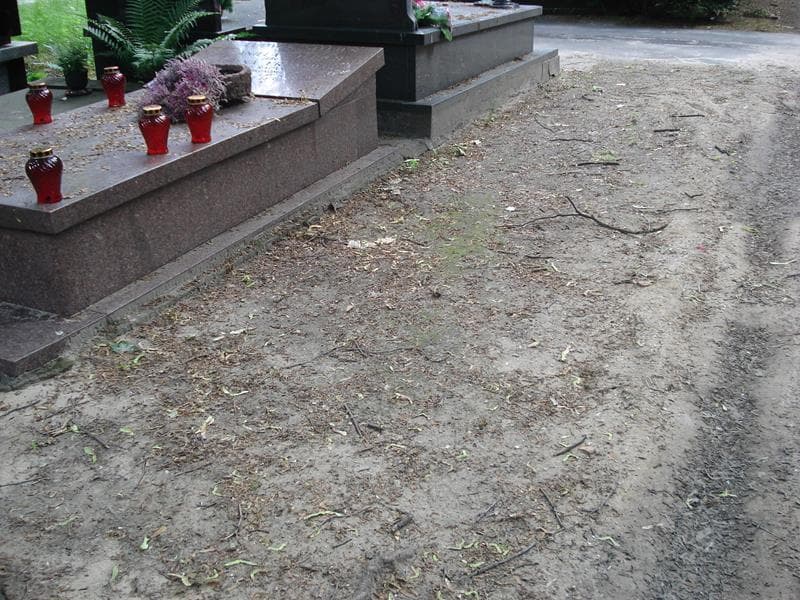 Zdjęcie grobu: Pole Grobowe