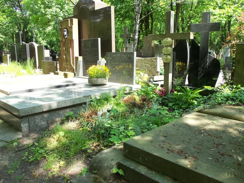 Zdjęcie grobu Czesława Chmajowa (1)