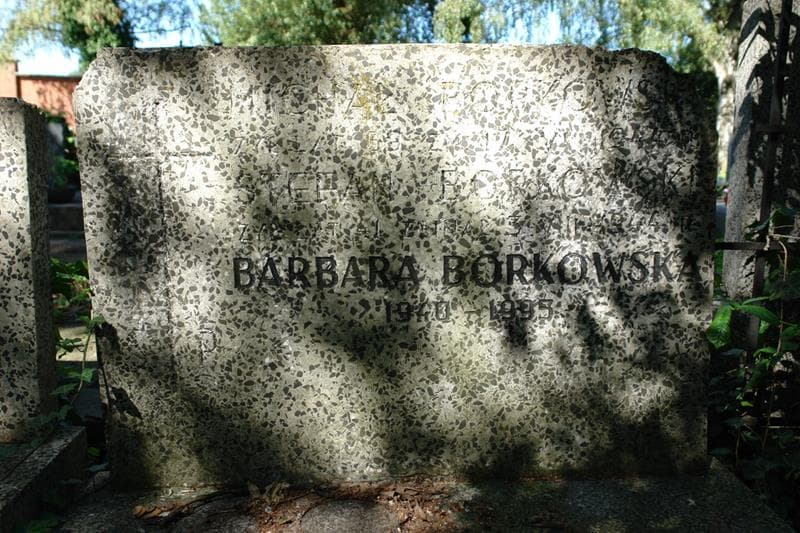 Zdjęcie grobu Stefan Borkowski (2)
