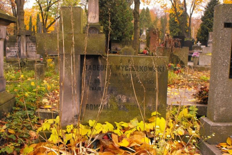 Zdjęcie grobu Tadeusz Wyczółkowski (2)