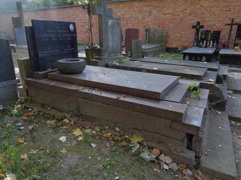 Zdjęcie grobu: Witold Jastrzębiec - Szczepkowski