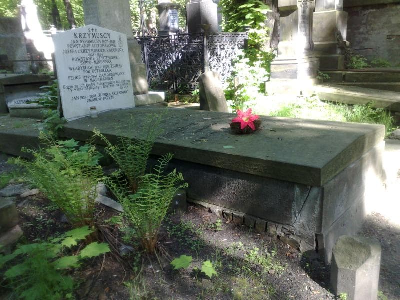 Zdjęcie grobu Jan Nepomucen Krzymuski (1)