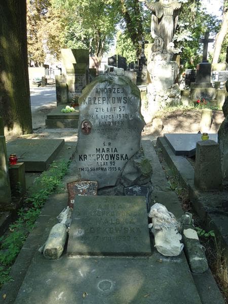 Zdjęcie grobu Maria Krzepkowska (2)