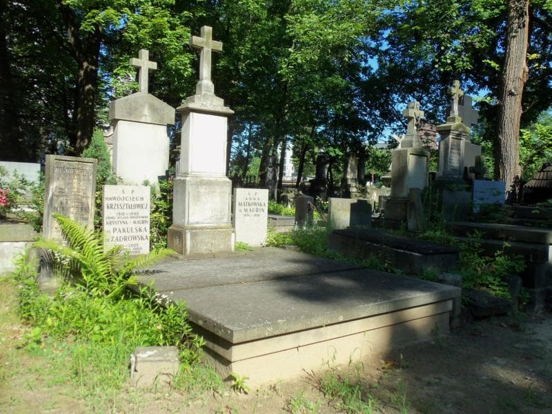 Zdjęcie grobu Deliszowie (1)