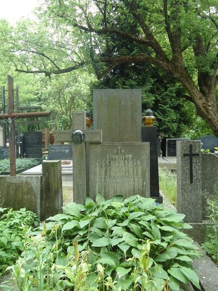 Zdjęcie grobu Stanisław Ciechanowski (2)
