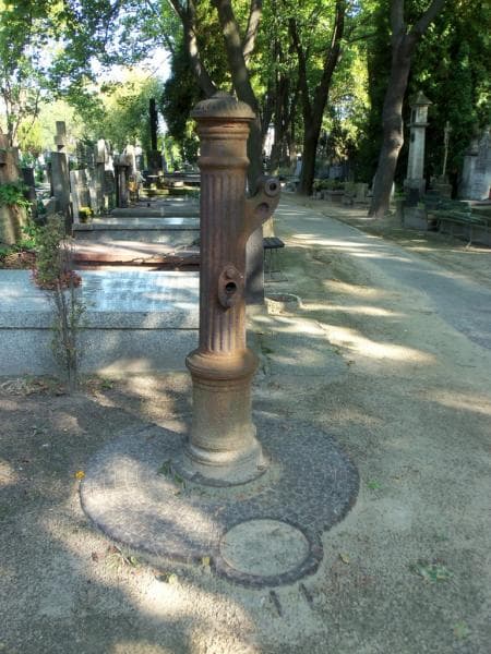 Zdjęcie grobu Pole Ze Studzienką (1)
