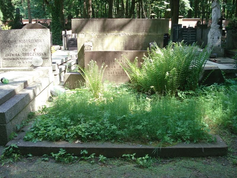 Zdjęcie grobu: Roman Hartmann