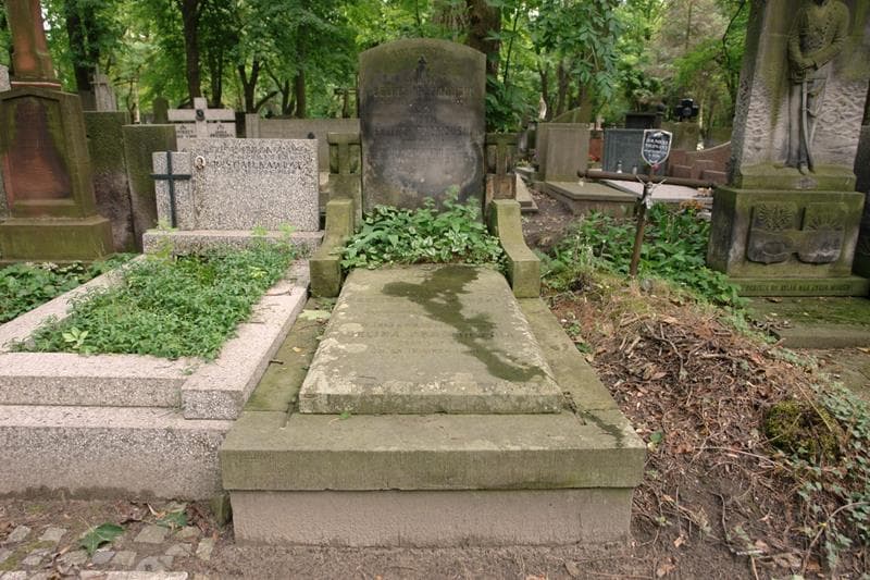 Zdjęcie grobu Michał Belina - Prażmowski (1)