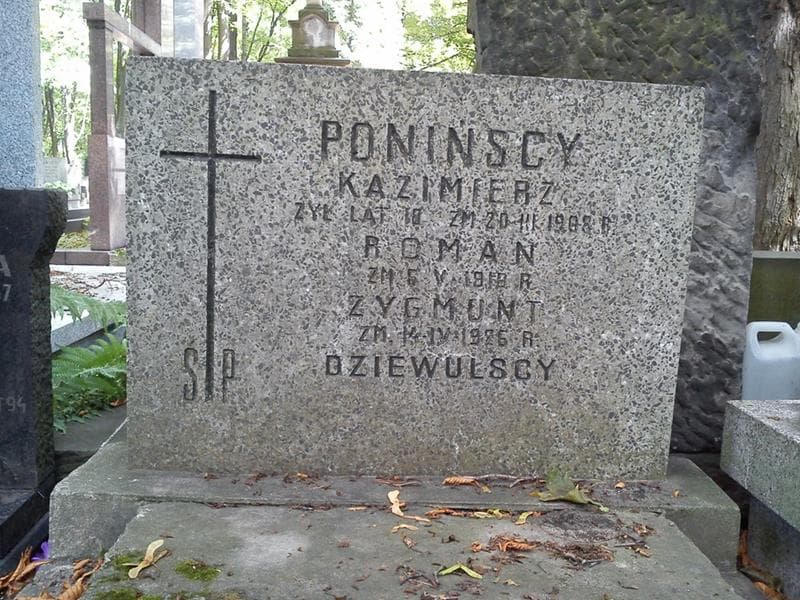 Zdjęcie grobu Roman Poniński (2)