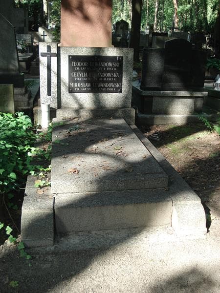 Zdjęcie grobu Cecylia Lewandowska (1)