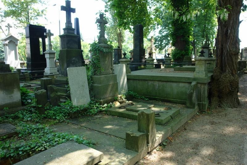 Zdjęcie grobu: Maria Rybicka
