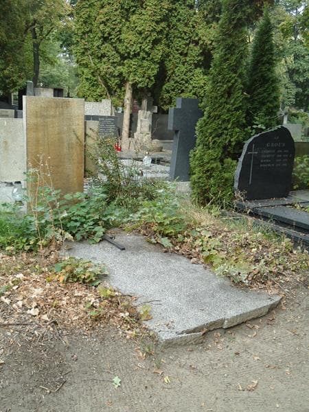 Zdjęcie grobu Antoni Leśniczak (2)