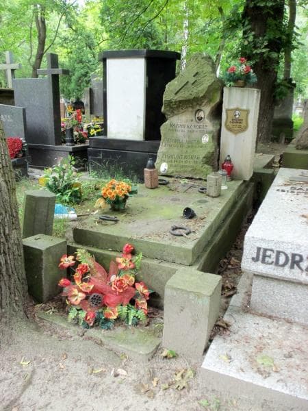 Zdjęcie grobu Seweryn Dąbrowski (1)