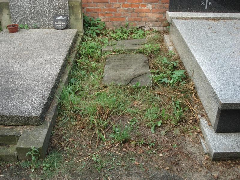 Zdjęcie grobu: Czesław Podarewski