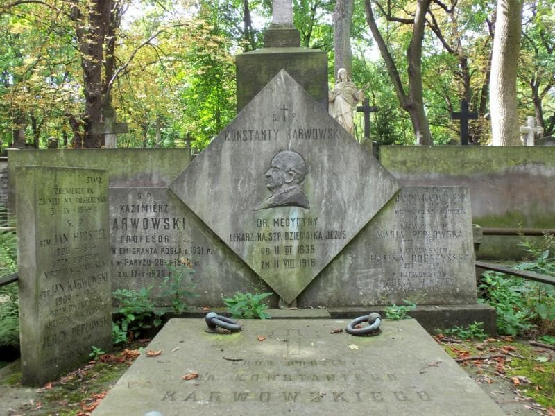 Zdjęcie grobu Maria Pepłowska (2)