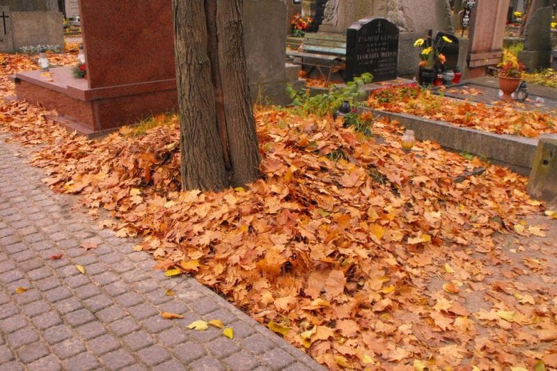 Zdjęcie grobu Pole Grobowe (1)